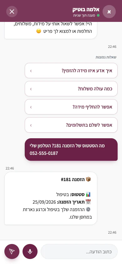 הבוט מציג ללקוח את סטטוס ההזמנה שלו